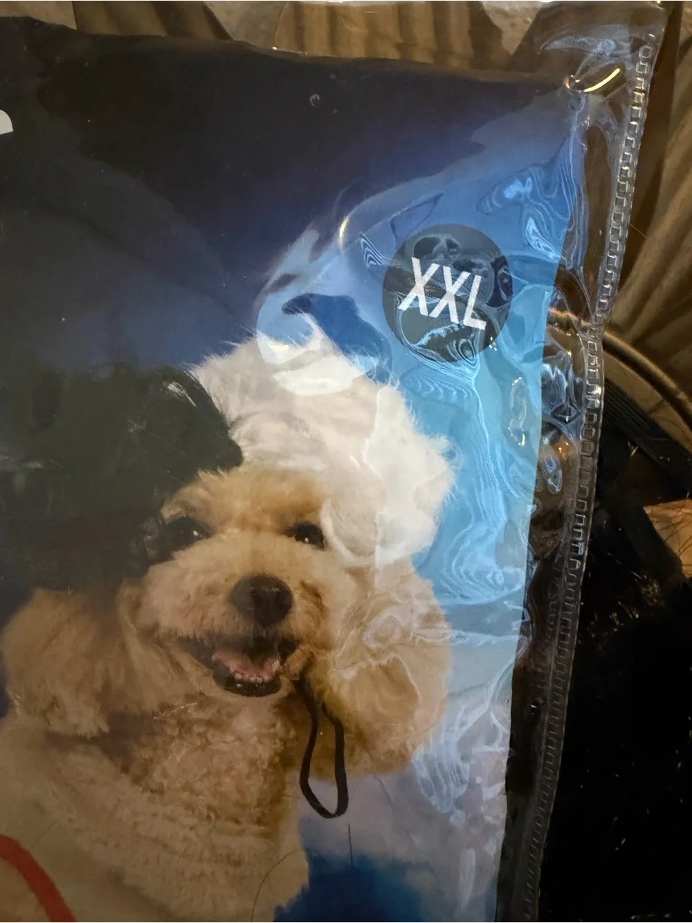 Disney Villains Cruella De Vil Dog Halloween Costume XXL